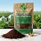 X-HUMATE Fulvic Acid Chelated Iron 12% Fe, premium agricultural fertilizer for soil health and nutrient uptake, 20kg export packaging.